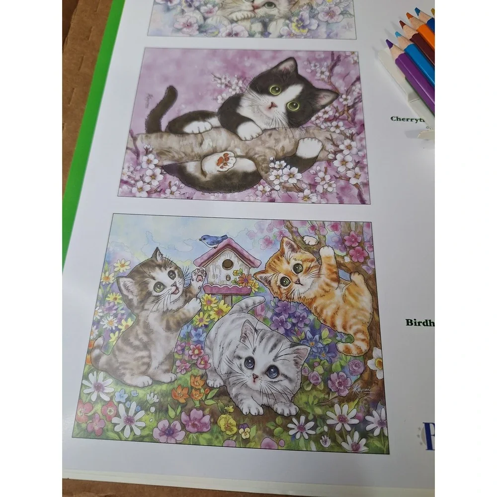 Bradford Exchange Kayomi Harai Artistic Escapes Coloring Kit Kittens & Pencils